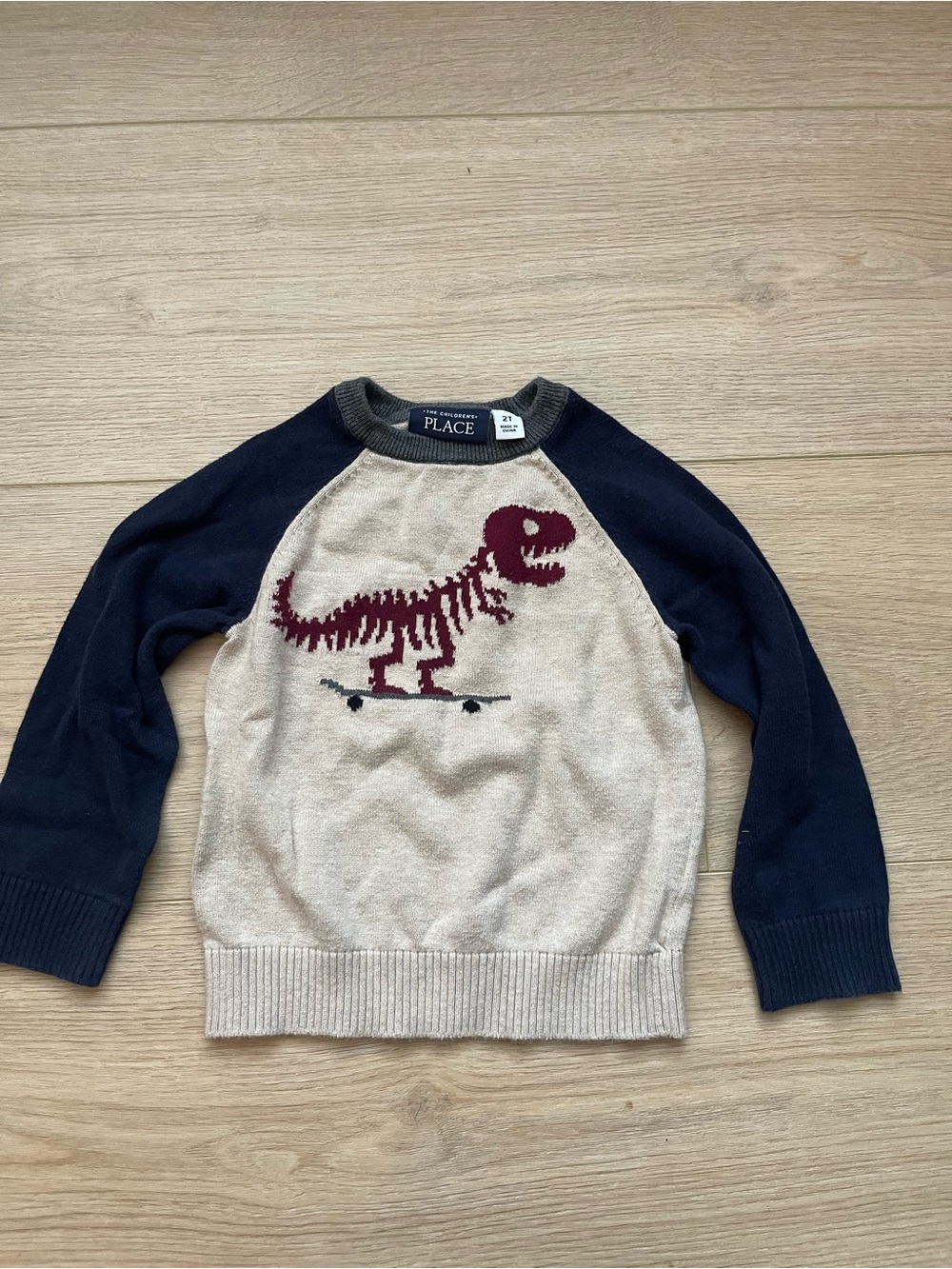 The Children's Place Beige & Navy Dinosaur Skate Sweater